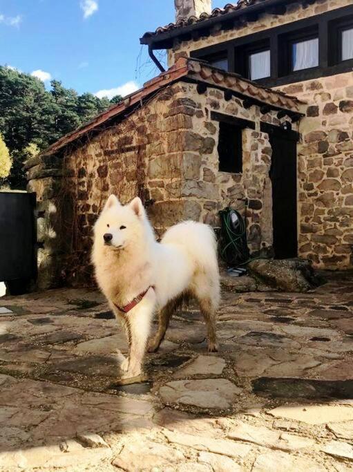 וינואסה Casa Con Encanto Lagunanegra Y Urbion מראה חיצוני תמונה